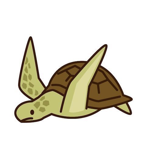 海がめ.jpg