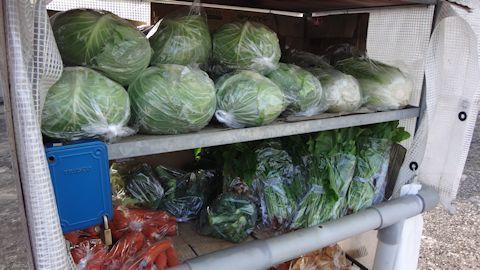 野菜無人販売3.jpg