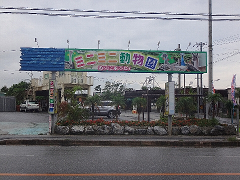 ミニミニ動物園 知る人ぞ知る 無料 の人気動物園 30代美人ｏｌの沖縄 ｈａｐｐｙ ｔｉｍｅ