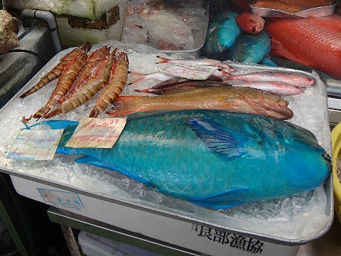 公設市場 沖縄の鮮魚 青い魚も 30代美人ｏｌの沖縄 ｈａｐｐｙ ｔｉｍｅ